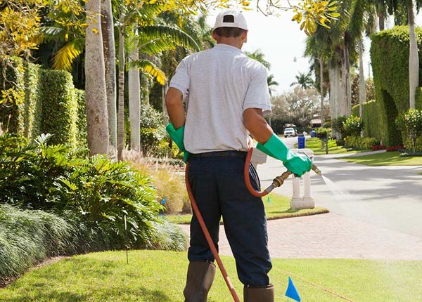 About Topsham ME Pest Control